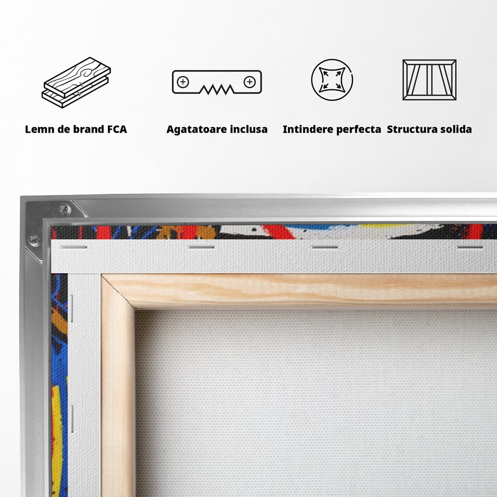 Spatele produsului, cu sasiu din lemn, capse metalice si agatatoare